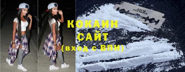 дмт Новозыбков