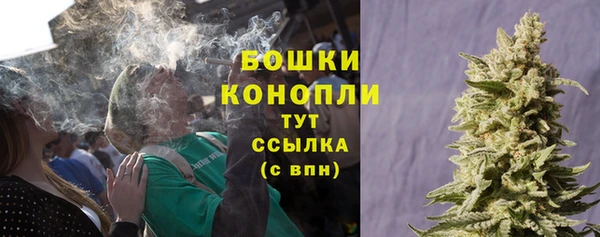 дмт Новозыбков