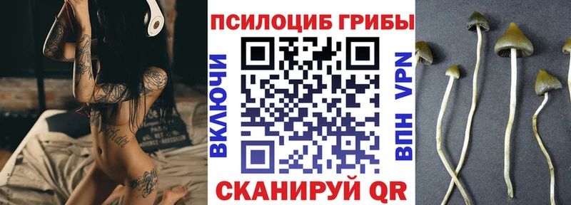 Галлюциногенные грибы Magic Shrooms  Котельниково 