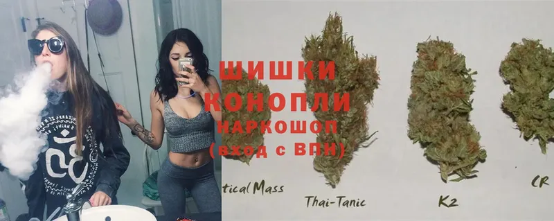 МЕГА   Котельниково  Бошки марихуана THC 21% 